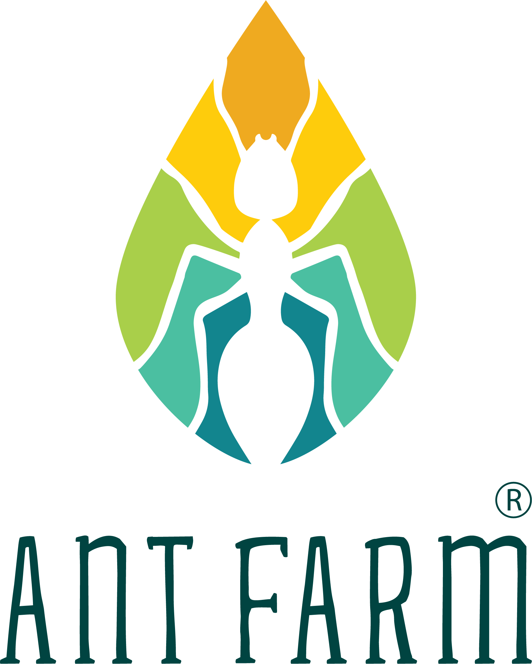 ant farm