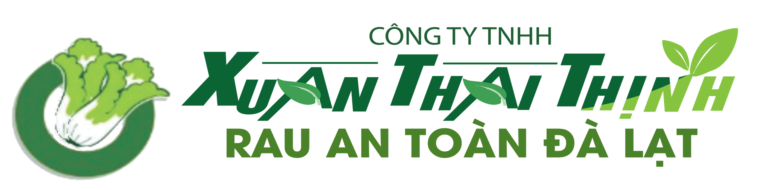 xtt